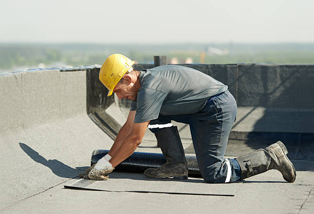 Best Insulation Replacement Services  in Hayward, WI